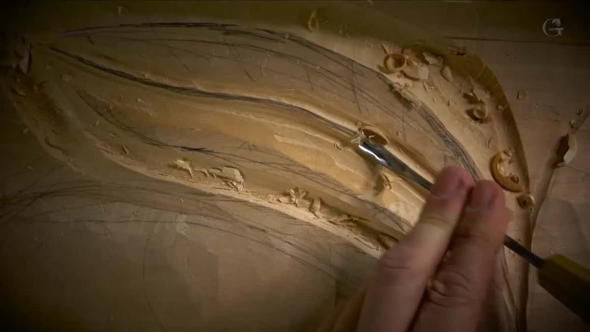 Penciled curves across a smooth leaf, and a small tool riding its raised middle line