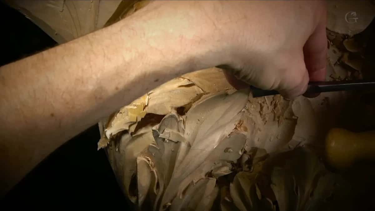 Right hand and gouge low on a curling leaf, with shavings piled in the scroll above