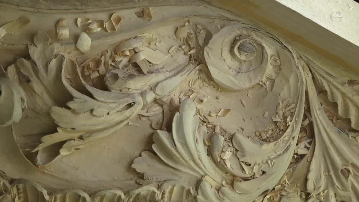 Acanthus leaves curling round a carved volute, loose chips lying in the hollows