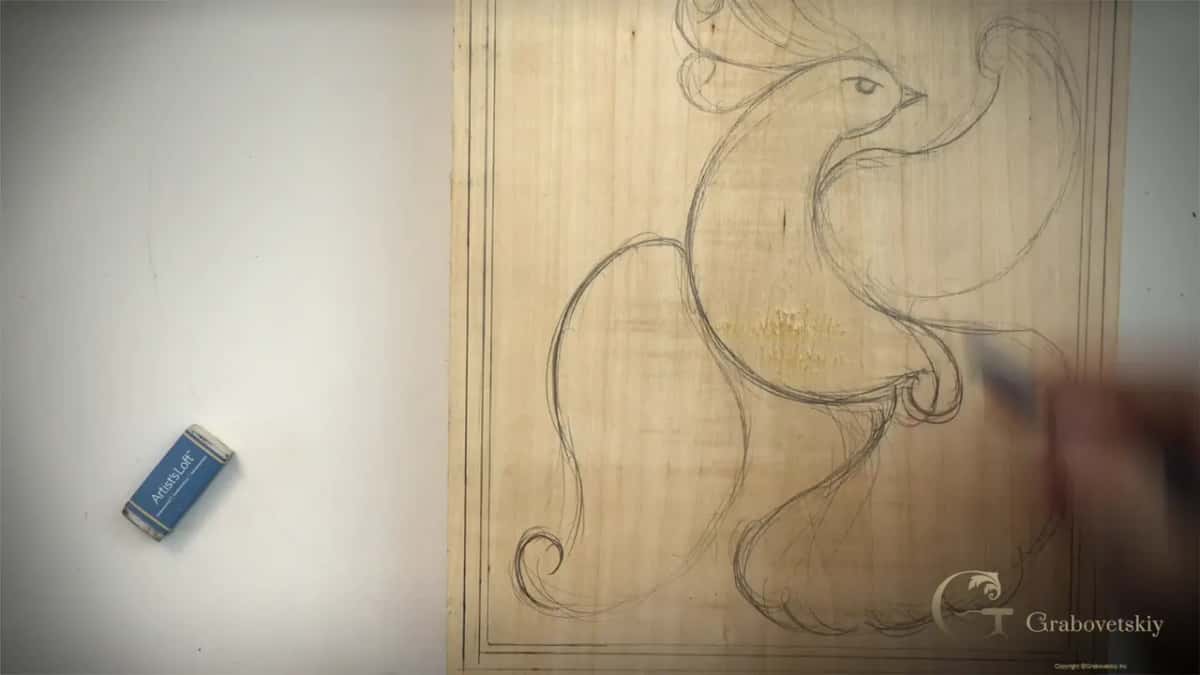 Pencil blurred on the right side of the bird while thin crest lines already rise above its head