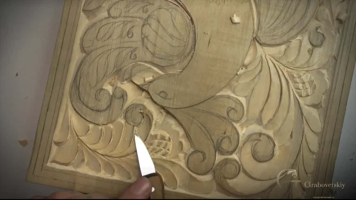 Short blade standing upright among the curls under the bird