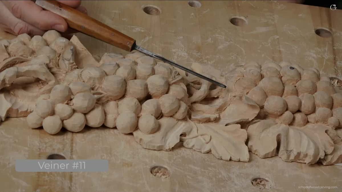 A Veiner #11 card in the corner as a hand points the tool at the grapes