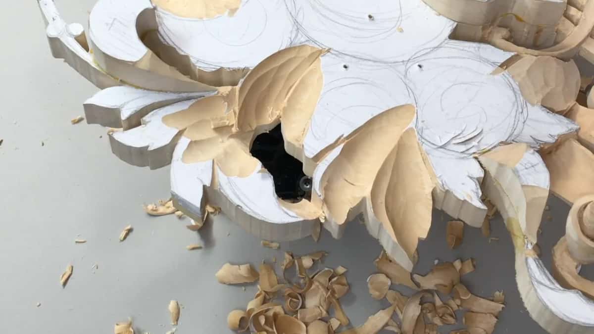 Heap of curled chips below roughed leaves