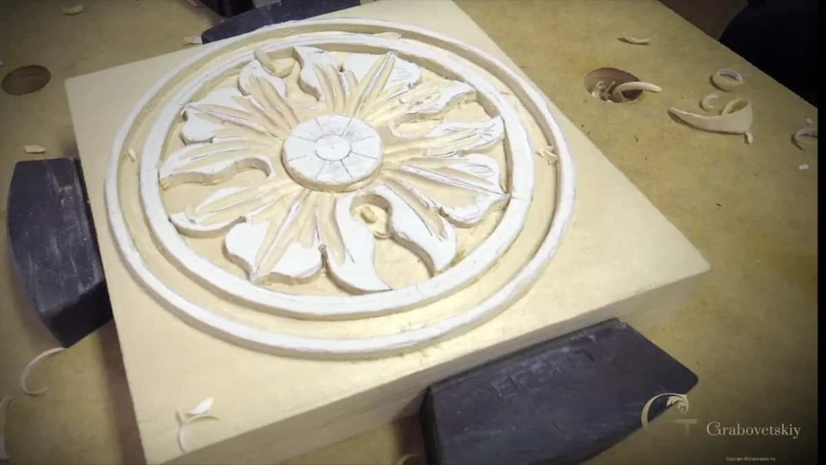 The rosette alone, leaves still under white paper and the ground lowered around them.