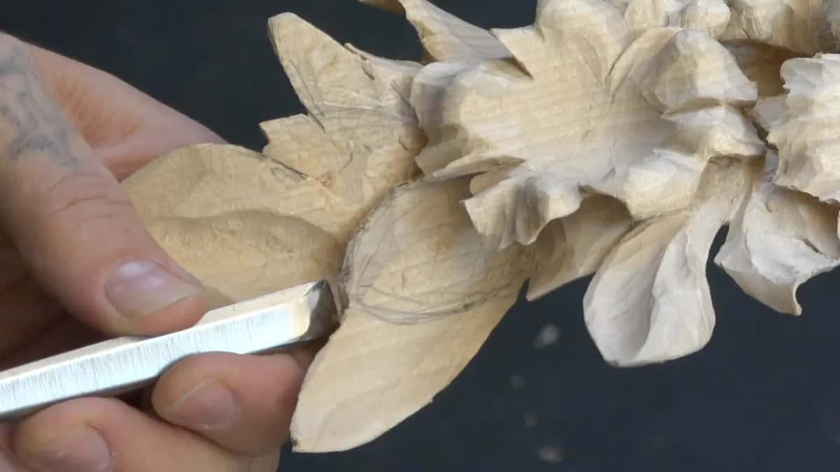 A wide, flat blade lies along the face of the leaf, and the pencil line still shows