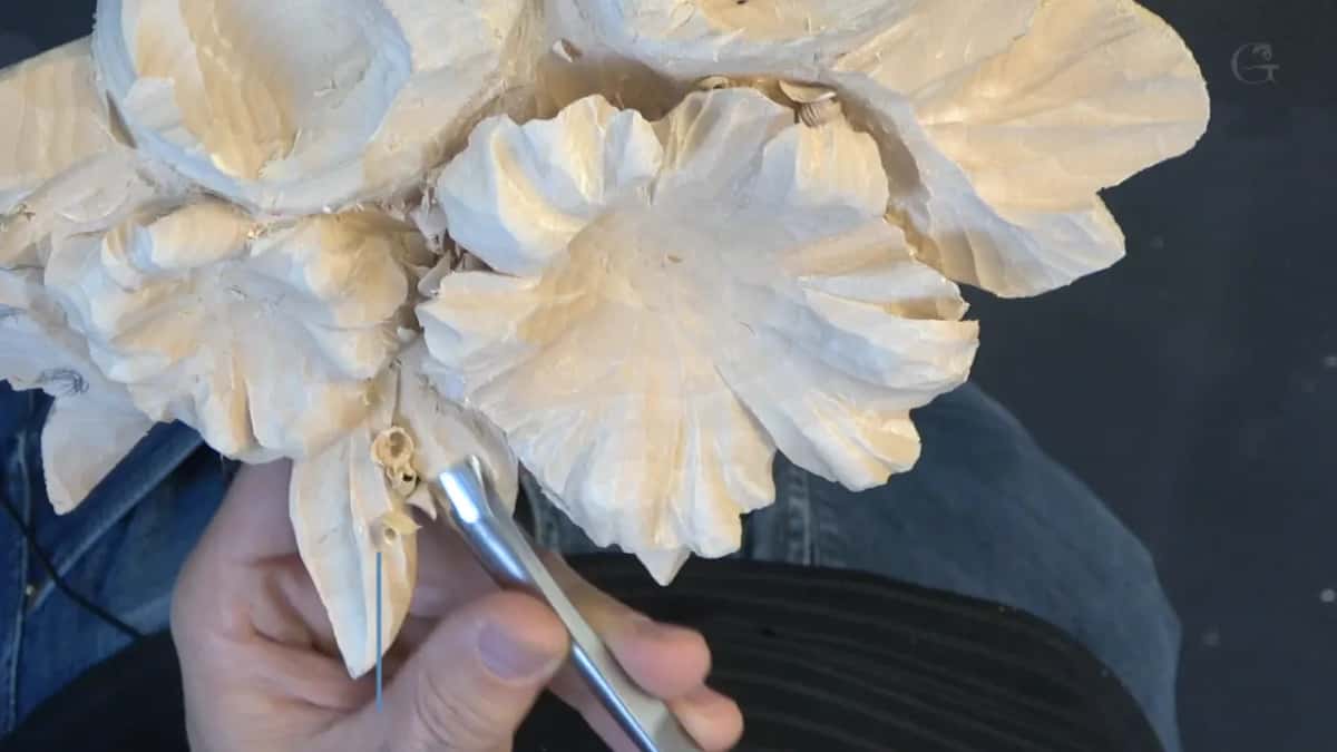 Bent tool at the base of a leaf, two curled shavings beside it