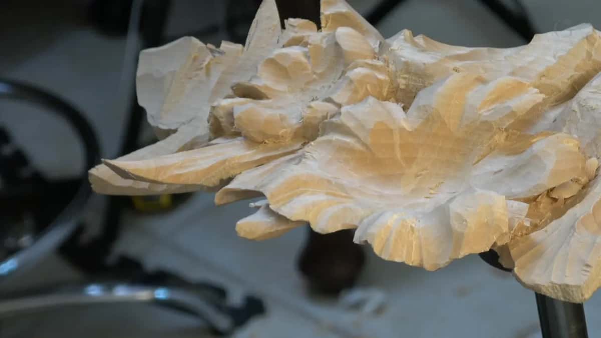 The carving from low on the side