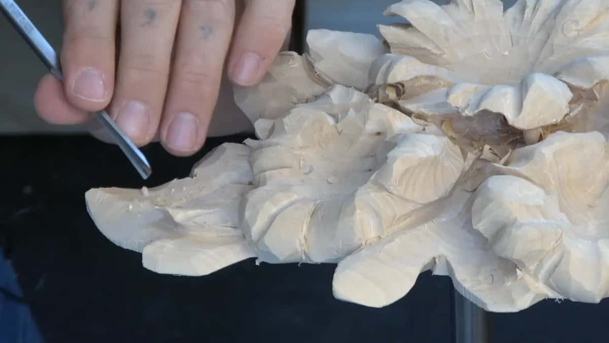 Thin tool on the left edge of a leaf, shavings still sitting in the flower centers