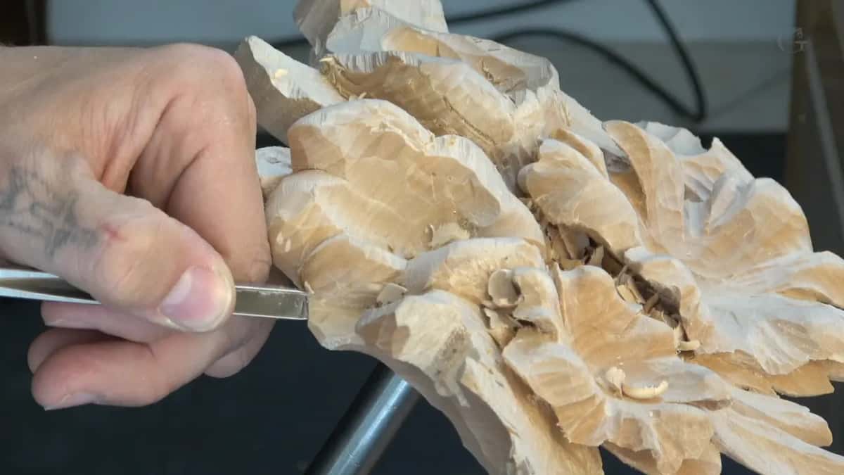 Thumb on a short, flat-shanked tool at the base of a petal