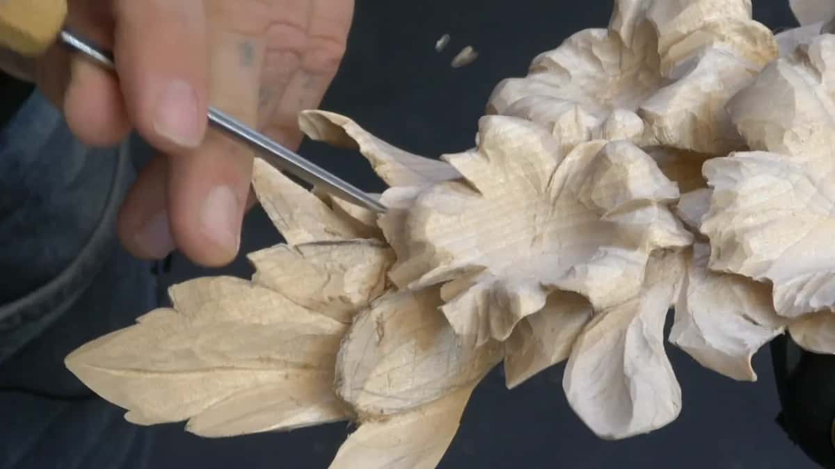 Long thin tool aimed at the base of a leaf