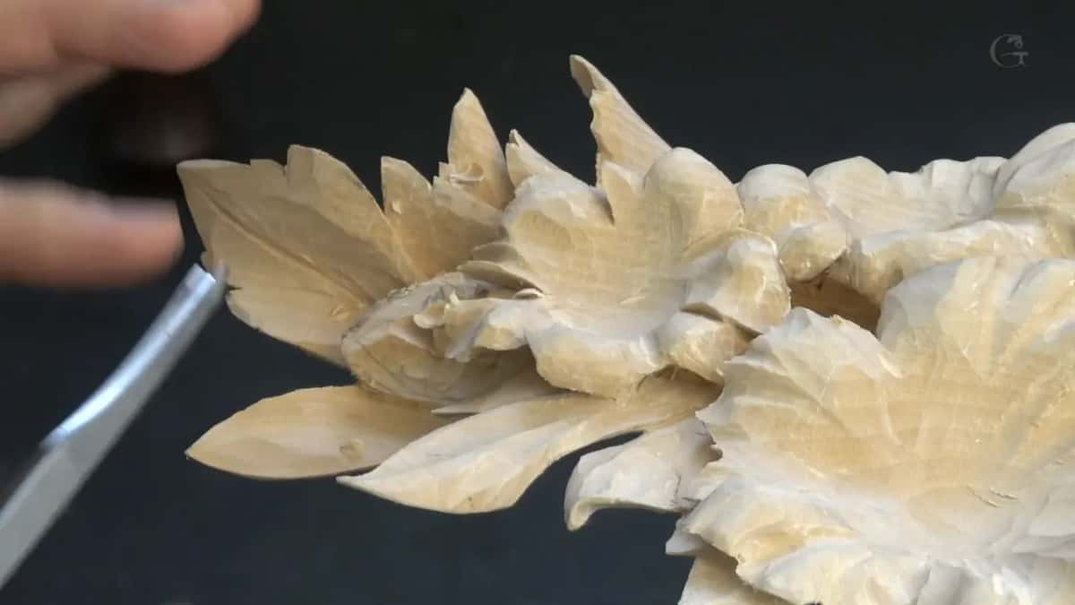 Wide blade out of focus on the left, carved leaves sharp