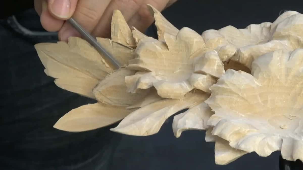 A gouge goes in at an angle where the leaf meets the flower