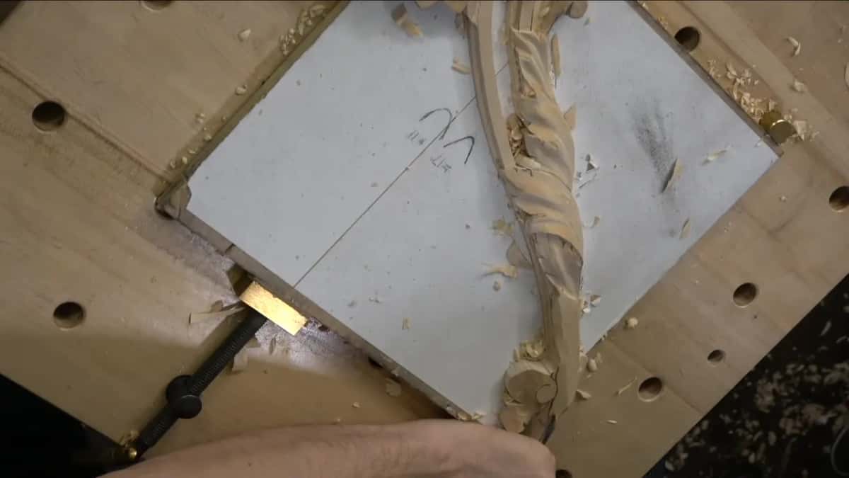 Top view of the long leaf clamped on its white board