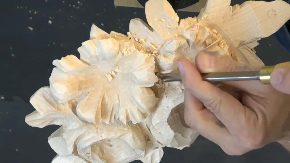 Brass ferruled gouge set into a junction between petals, chips around it