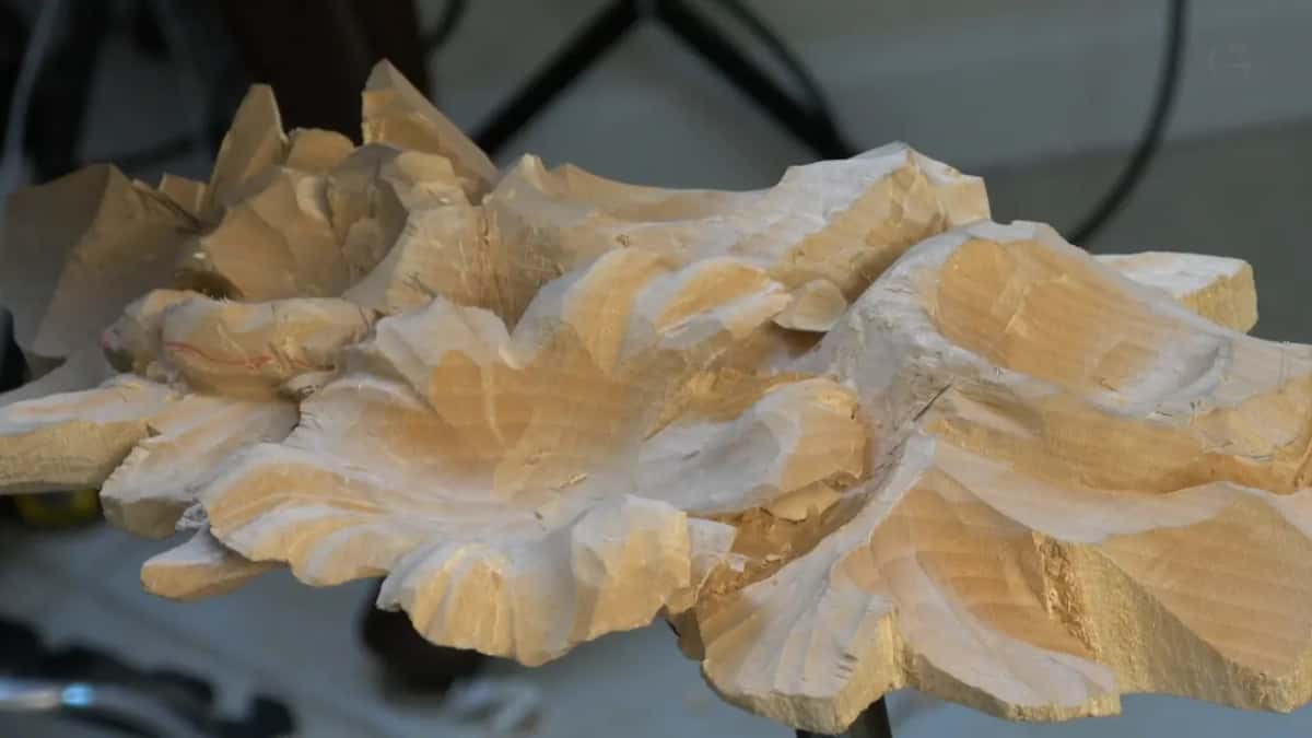 Low side view of the roughed flowers, light stands blurred behind
