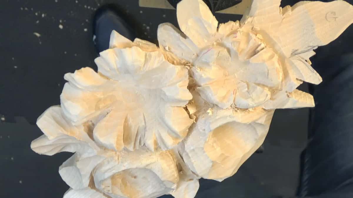 Close top view of rough, faceted petals, a few red lines on the right flower