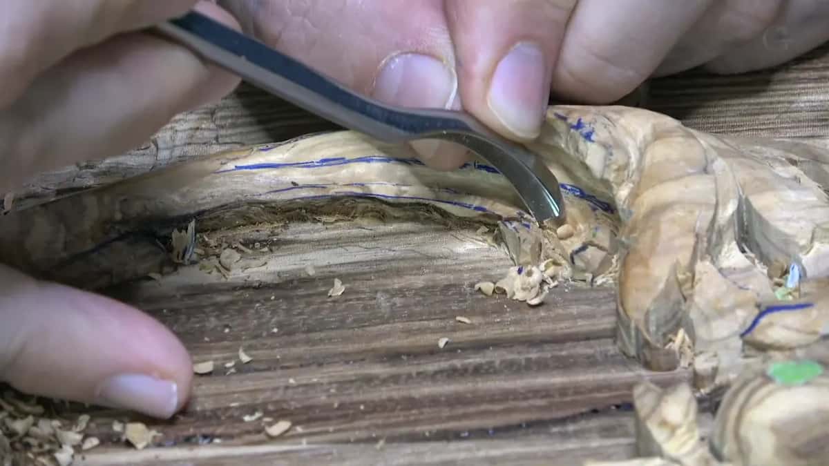 Spoon gouge with a bent shank reaching under the fragile curl