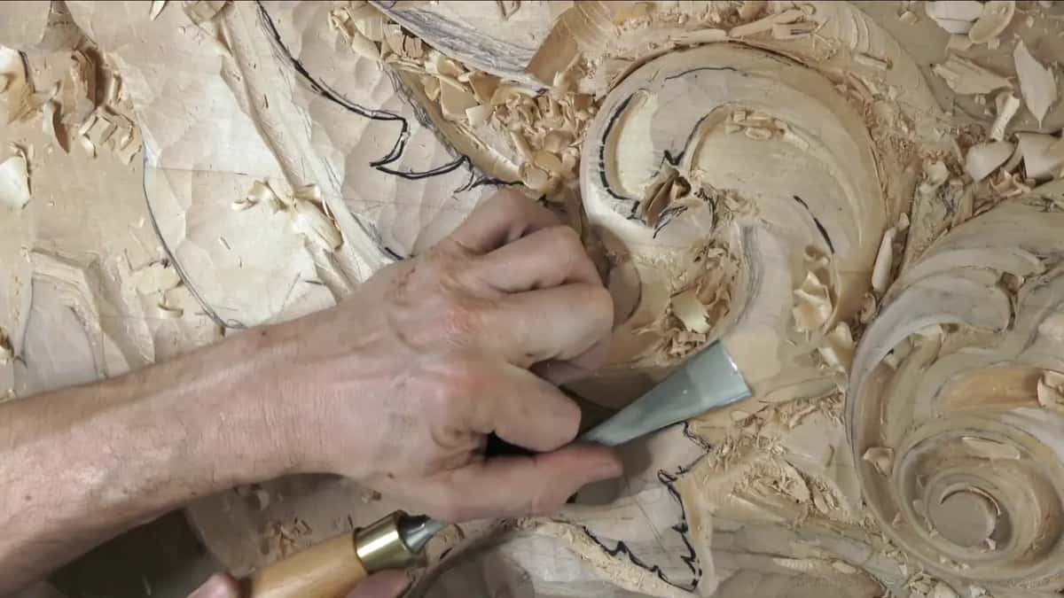 A brass ferrule and a gouge driving in below the big curl.
