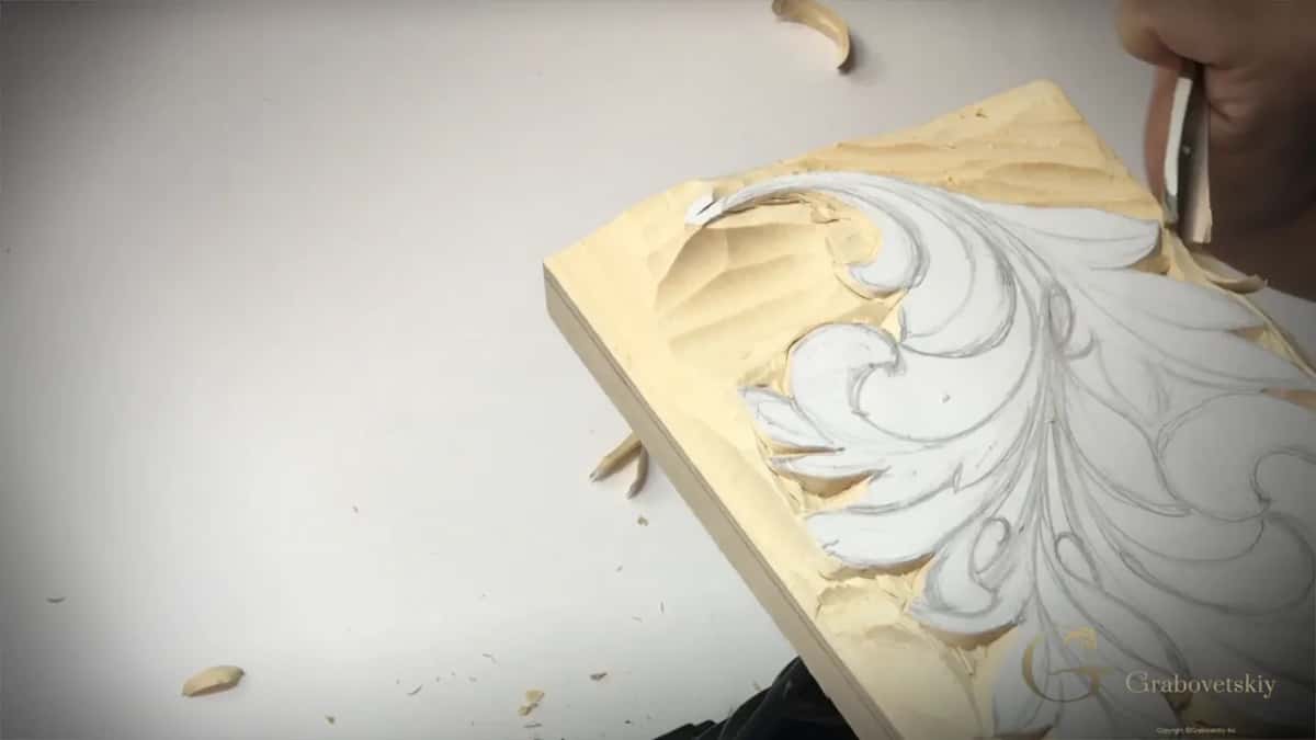 Deep hollow scooped in one corner beside the curl