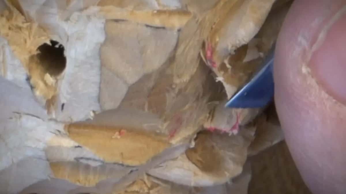 Red marks on the rim as a steel blade comes in from the right side.