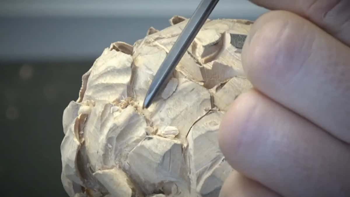From the top, a narrow straight tool goes in between two rough petals, fingers close at the right.