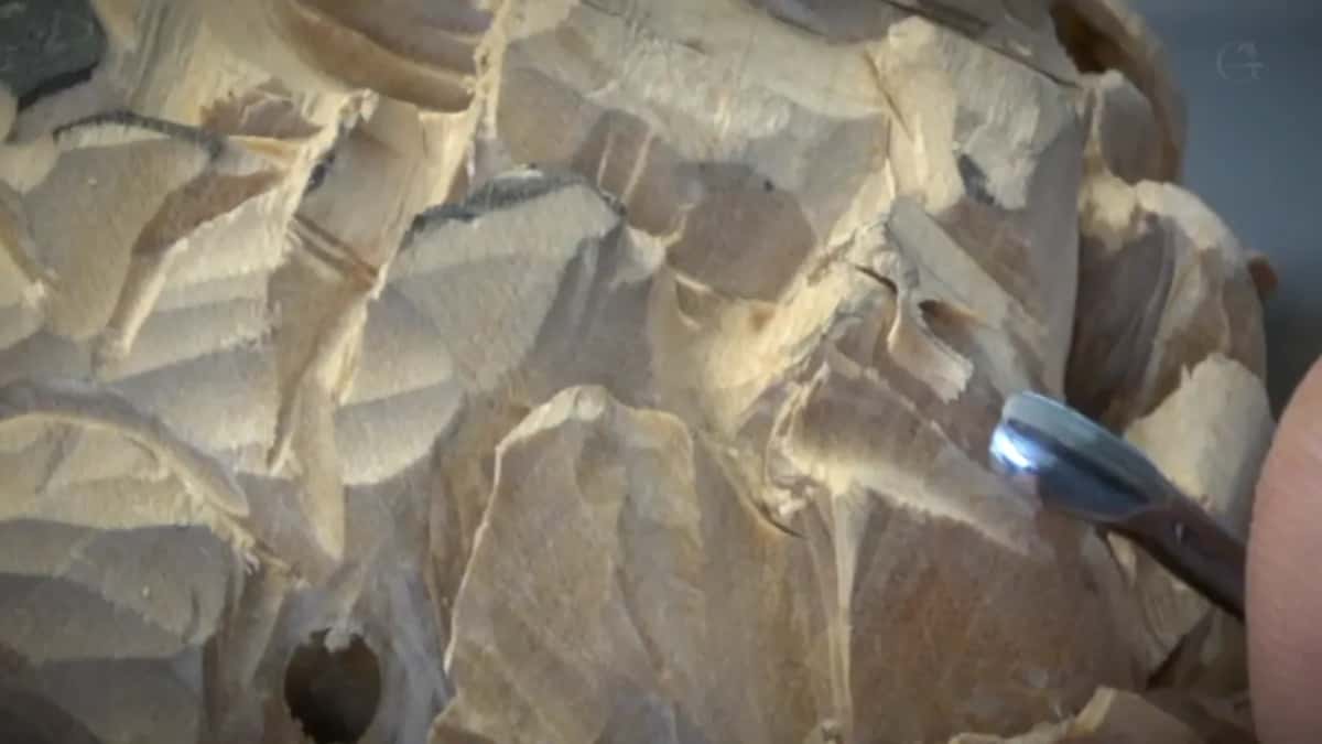 A bent gouge comes in from the right over faceted petals, a dark hole low on the left.