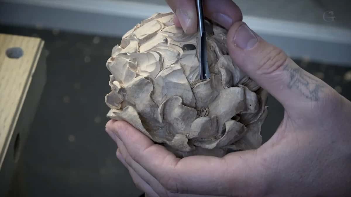 Tool at the upper right, both hands on the flower.