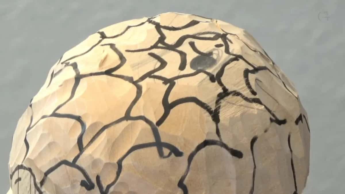 Seen from above, the ball is covered in drawn petal divisions of mixed sizes.