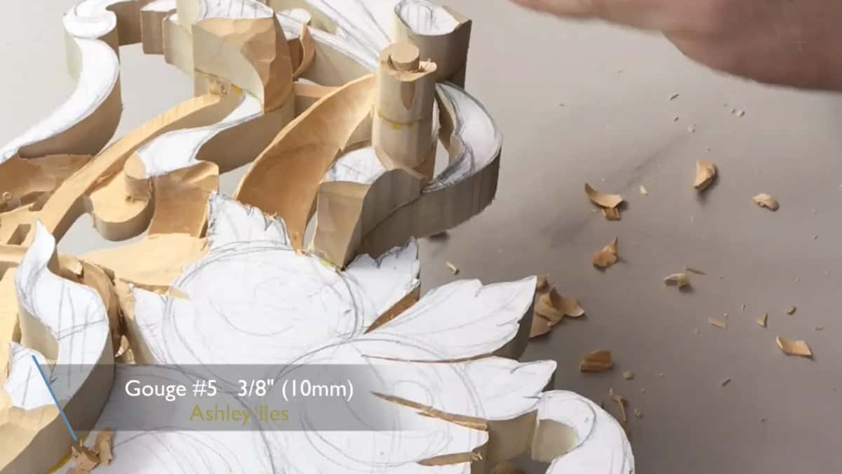 Seen low and close, flowers still under paper and a gouge caption along the bottom