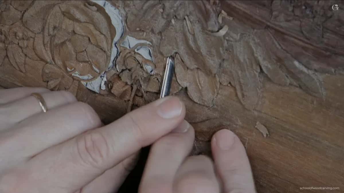 Ringed hand, thin bright tool
