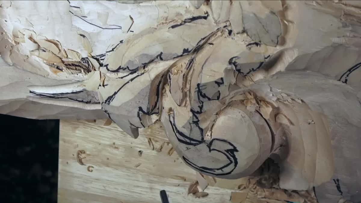 Marker lines on the rough curl.