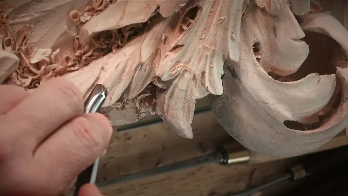Curved shank of a bent gouge pressed to the edge of a lobe, fingers pinching it