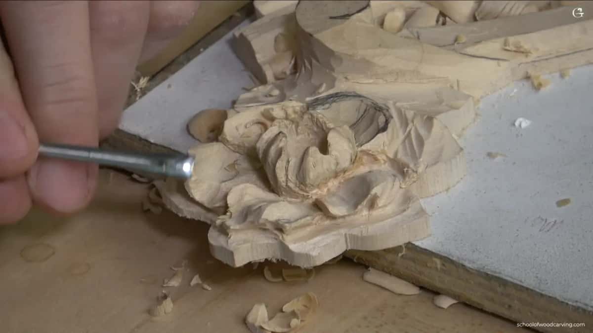 A gouge shaft held level, going in under the curl of a petal from the left side of the flower.