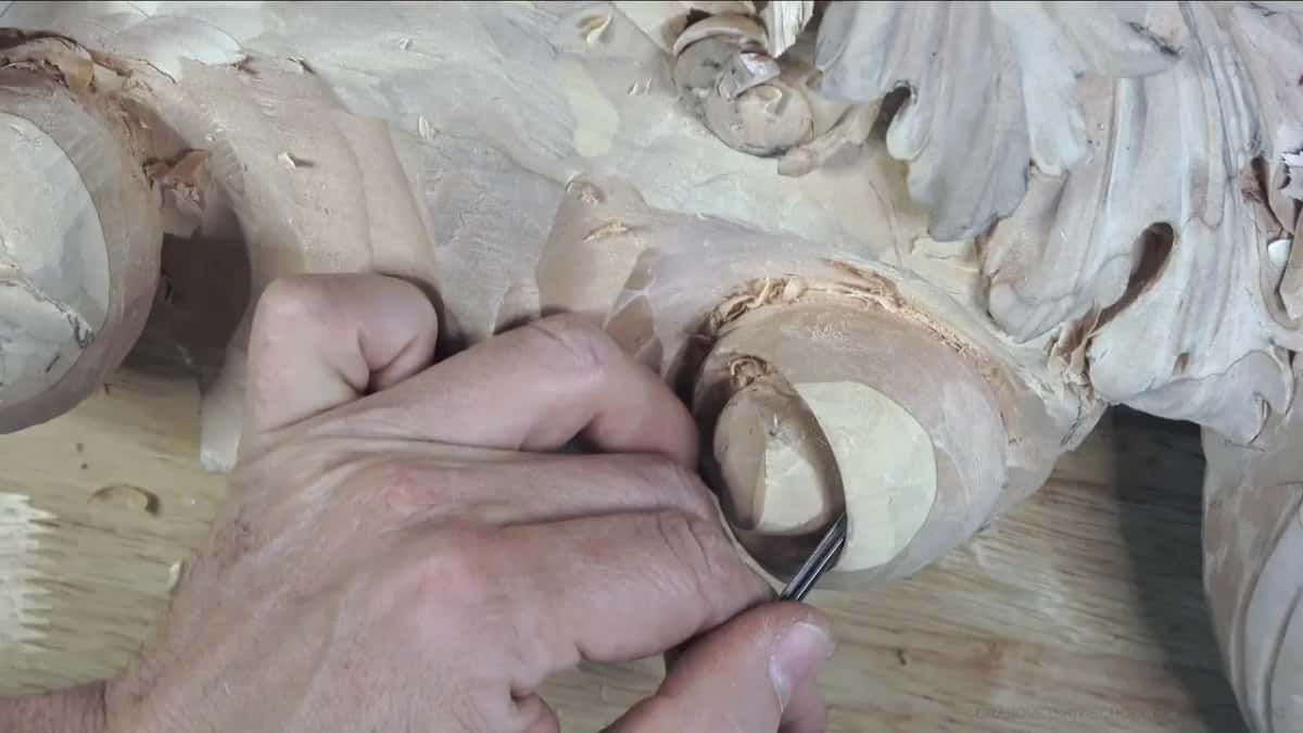 Short veiner, nearly hidden by knuckles.