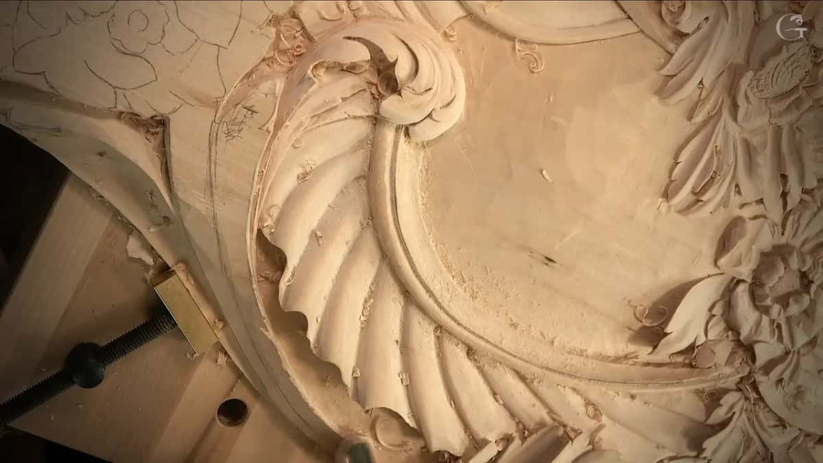 Fluted shell and its scroll from above
