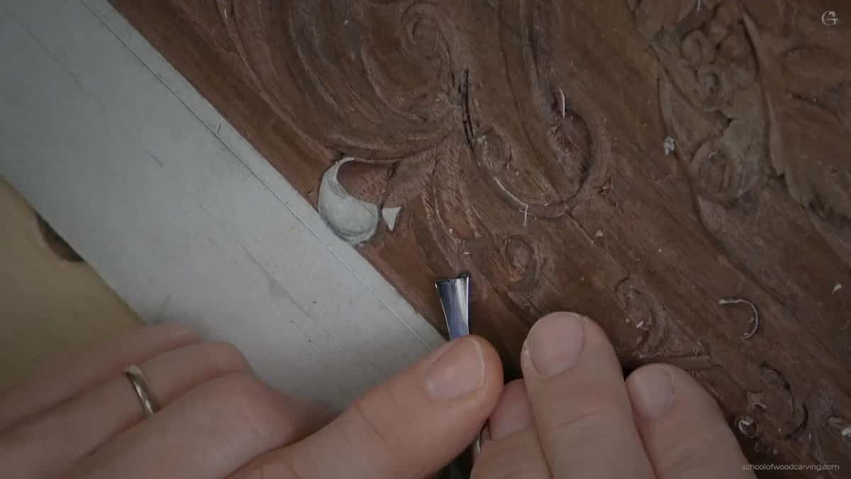 Small tool held upright at the white leaf