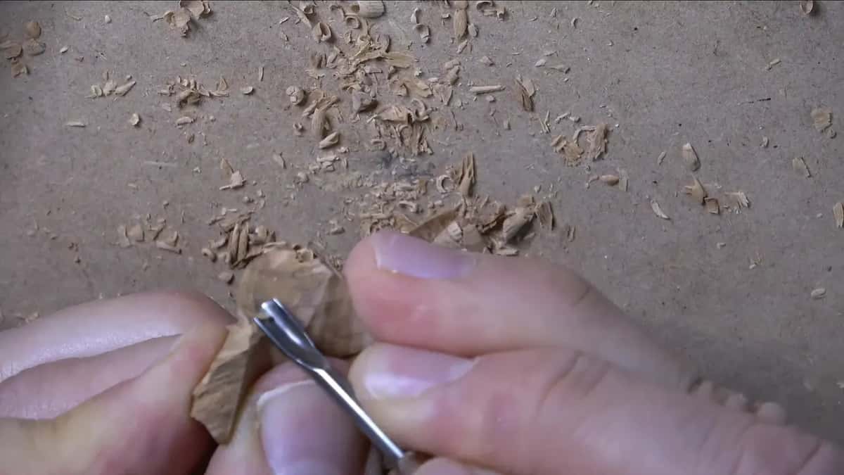 Digging beneath a petal with a small gouge, the flower pinched between two fingers