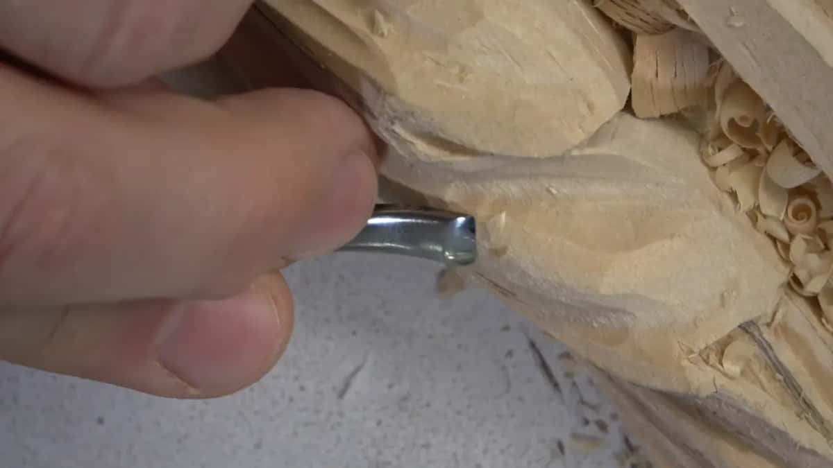Finger and thumb hold a small bent gouge right against the carved leaf.