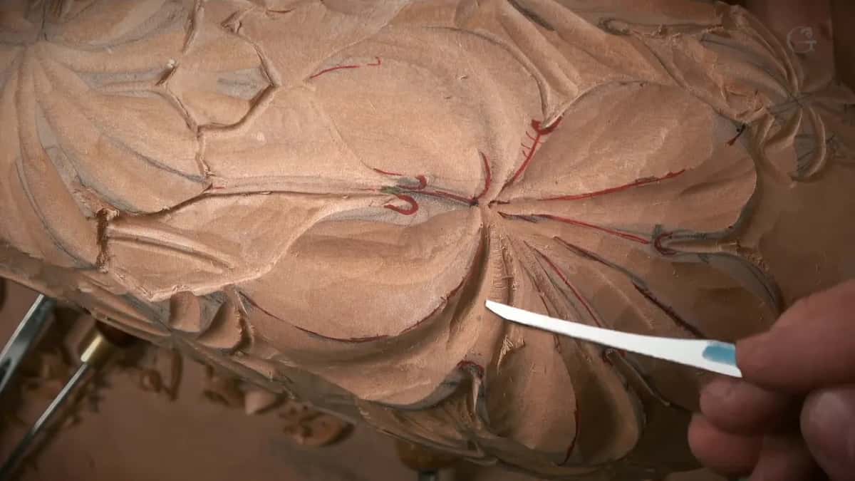 A thin white strip points at a hollow beside the leaf center