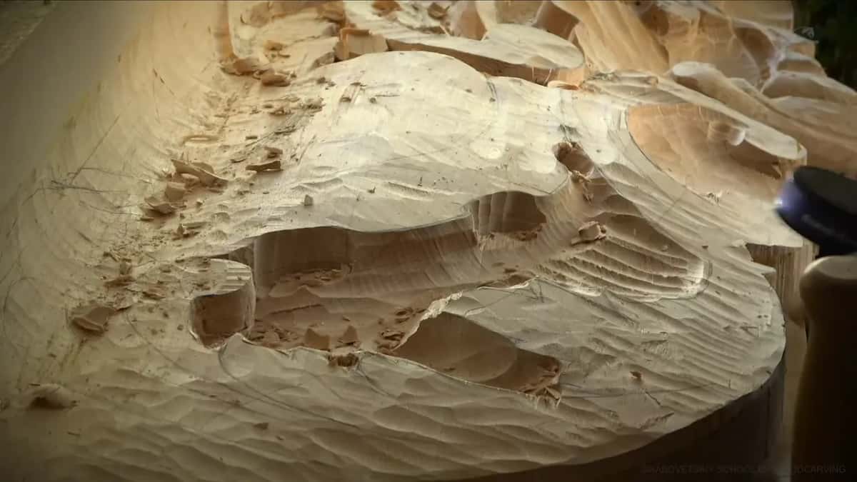 Rough gouge marks across a deep relief, chips still lying in the hollows.