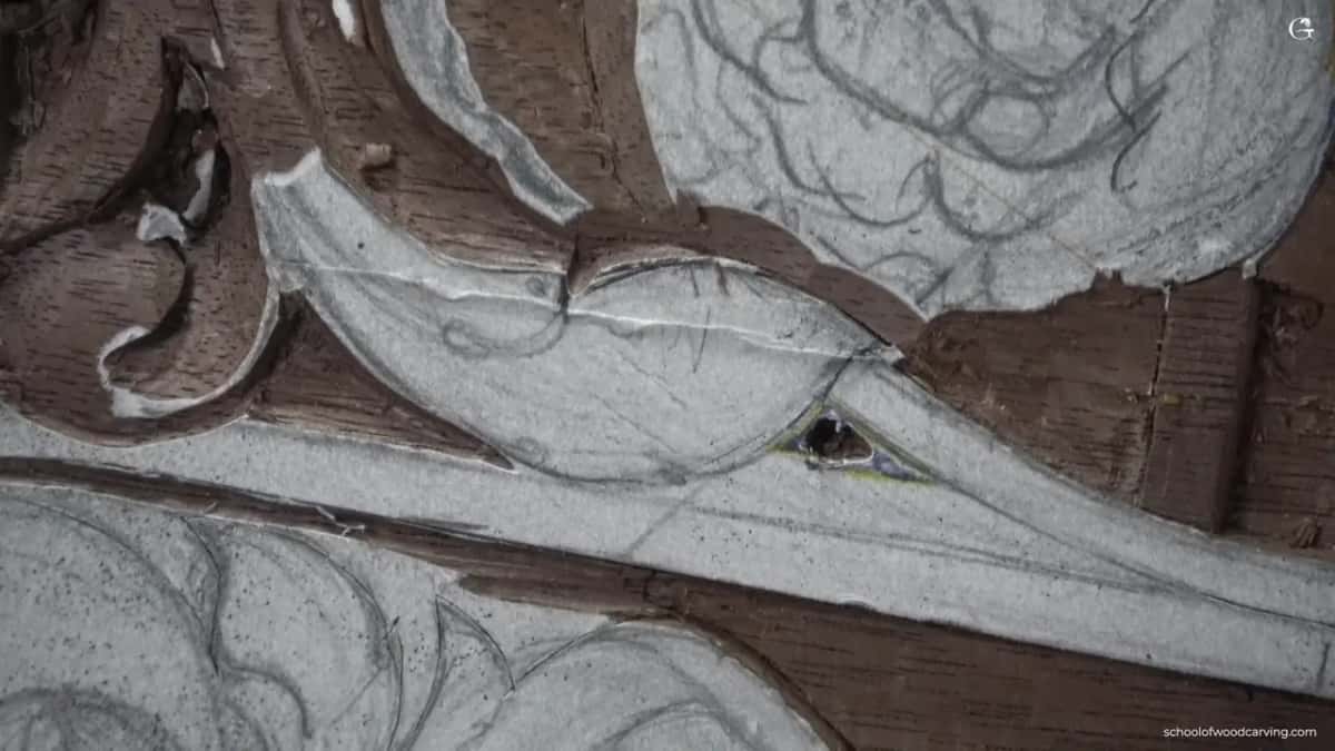 Close view of a leaf tip ending in a small dark pocket, pencil lines on the paper around it