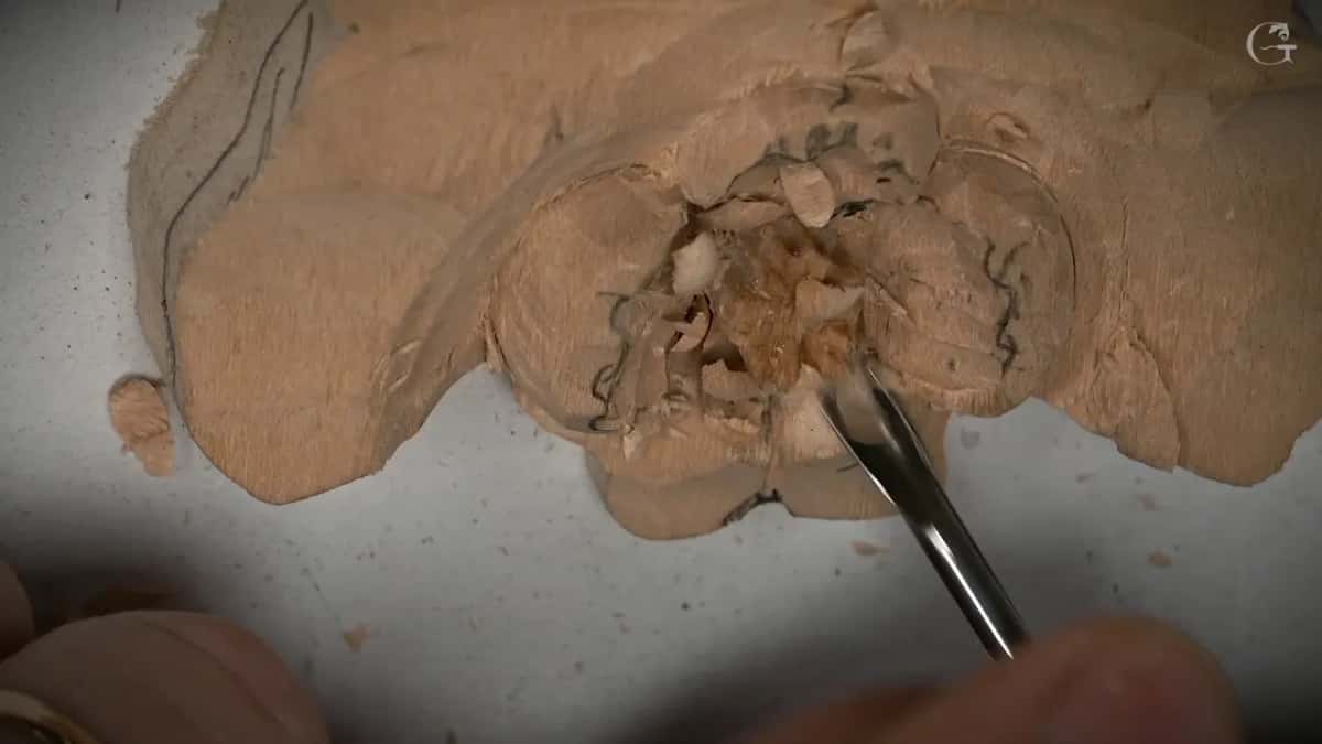 The gouge slips under a raised, wavy rim, lifting wood from beneath the petal on the right